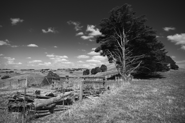 Landscape